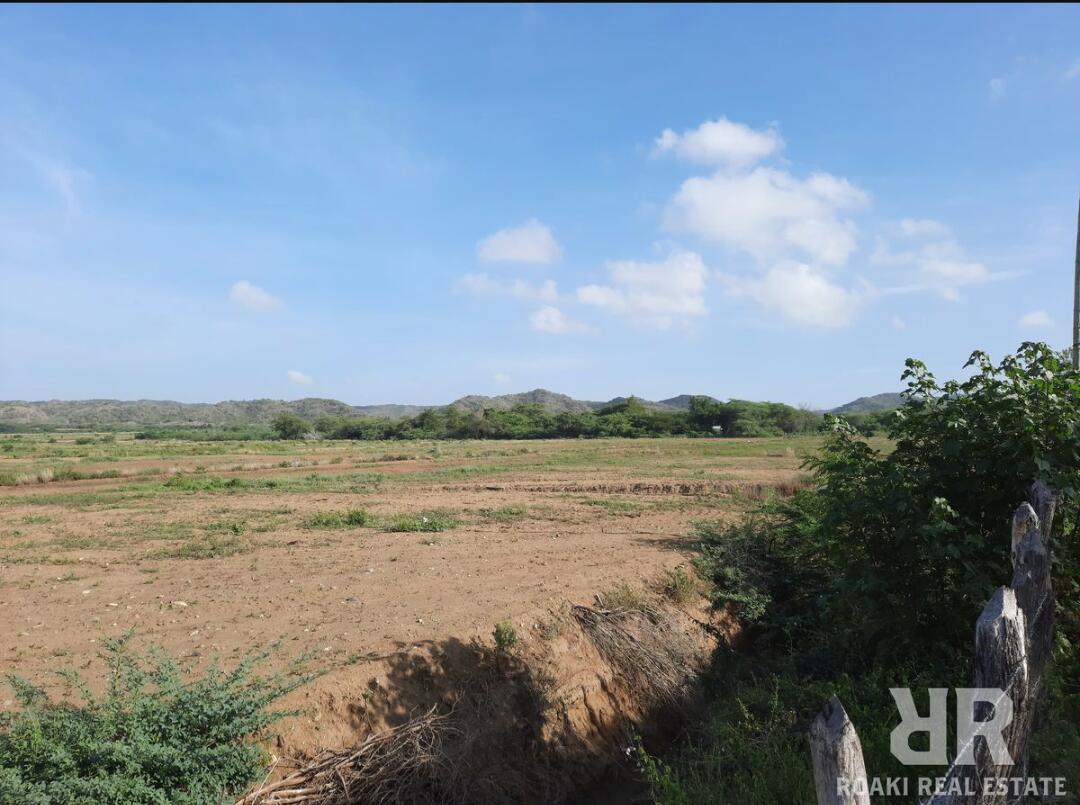 finca-venta-montecristi