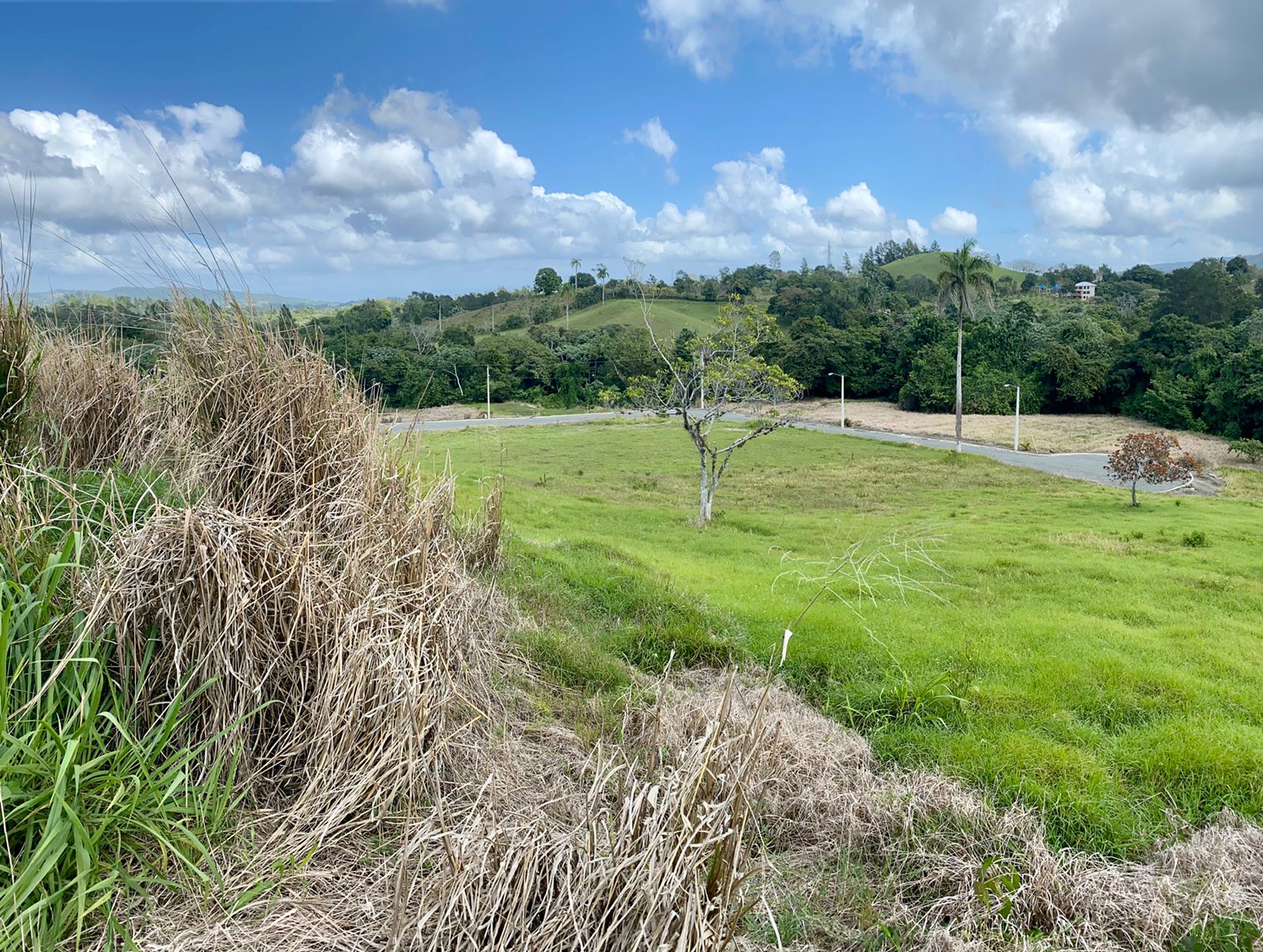 solar-de-venta-en-jarabacoa