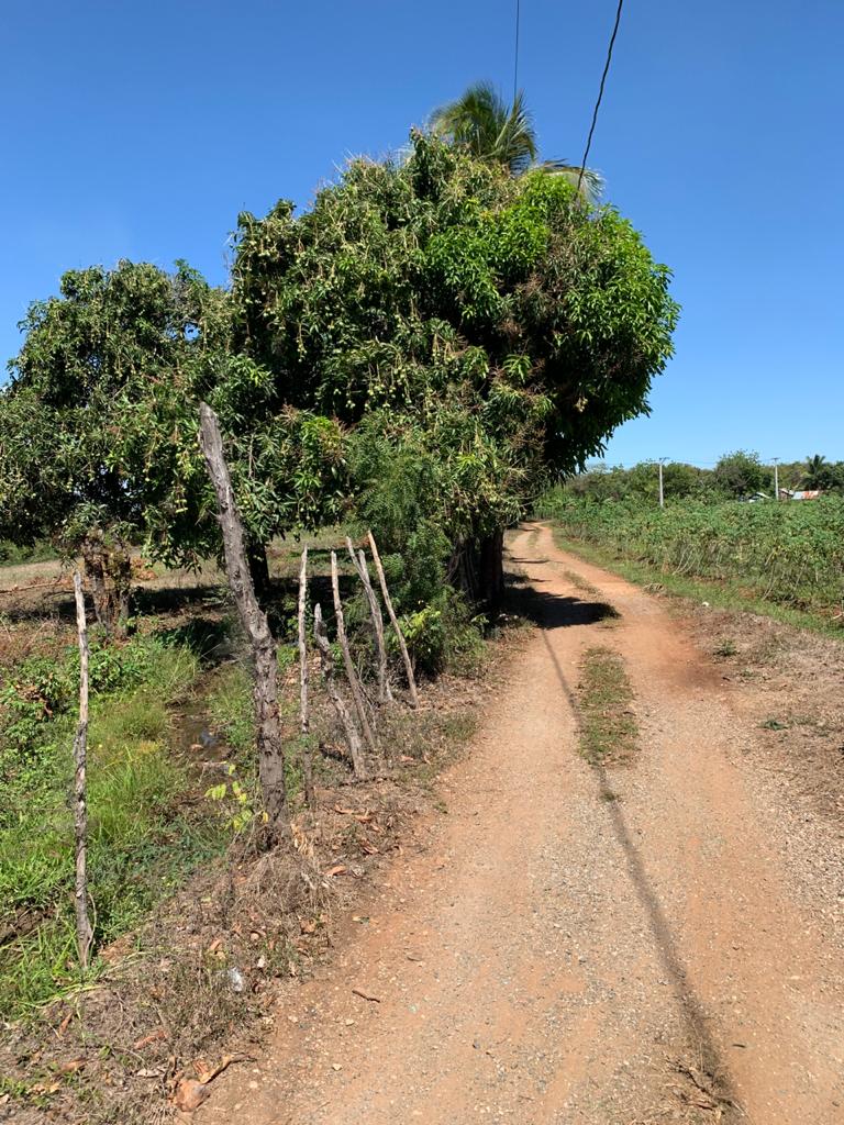 venta-de-finca-pequeña-en-bani